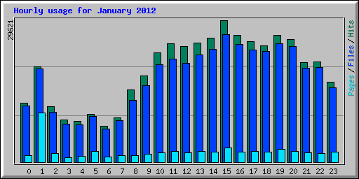 Hourly usage for January 2012